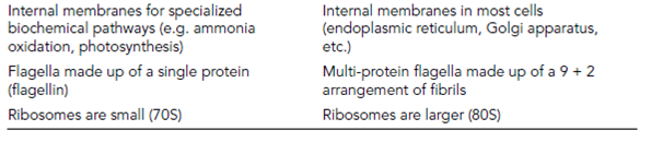 73_Systematics 1.png